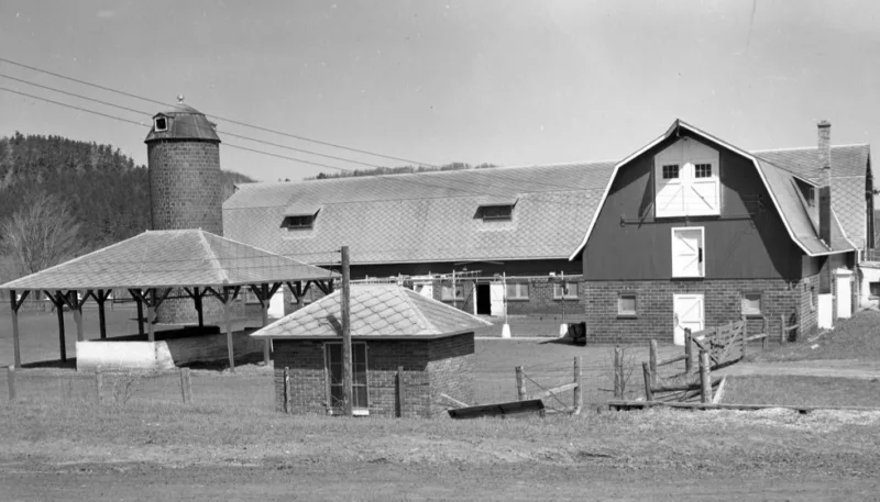 Prison agriculture, part II